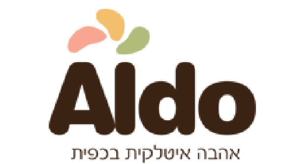 רשתות 17